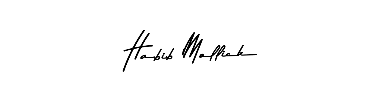 You should practise on your own different ways (Asem Kandis PERSONAL USE) to write your name (Habib Mollick) in signature. don't let someone else do it for you. Habib Mollick signature style 9 images and pictures png