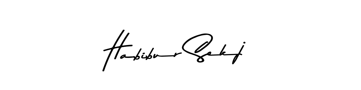 You can use this online signature creator to create a handwritten signature for the name Habibur Sekj. This is the best online autograph maker. Habibur Sekj signature style 9 images and pictures png