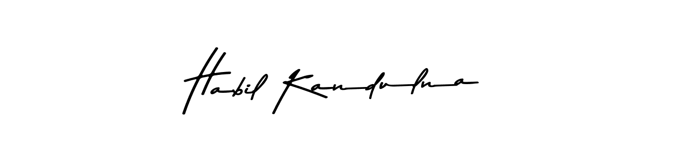 Design your own signature with our free online signature maker. With this signature software, you can create a handwritten (Asem Kandis PERSONAL USE) signature for name Habil Kandulna. Habil Kandulna signature style 9 images and pictures png