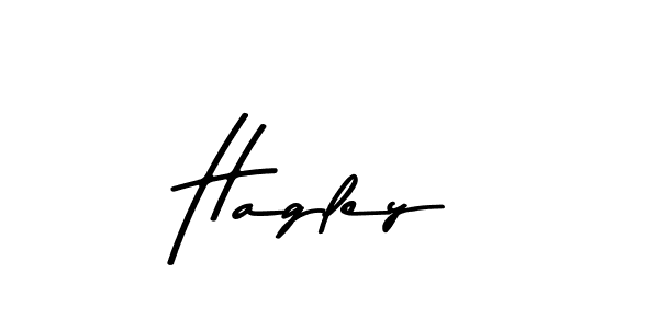 You should practise on your own different ways (Asem Kandis PERSONAL USE) to write your name (Hagley) in signature. don't let someone else do it for you. Hagley signature style 9 images and pictures png