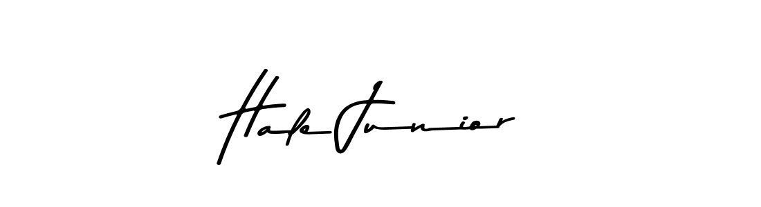 You should practise on your own different ways (Asem Kandis PERSONAL USE) to write your name (Hale Junior) in signature. don't let someone else do it for you. Hale Junior signature style 9 images and pictures png