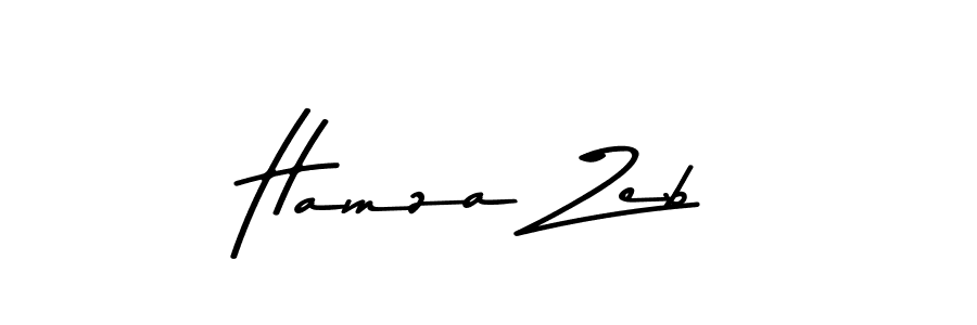 You should practise on your own different ways (Asem Kandis PERSONAL USE) to write your name (Hamza Zeb) in signature. don't let someone else do it for you. Hamza Zeb signature style 9 images and pictures png