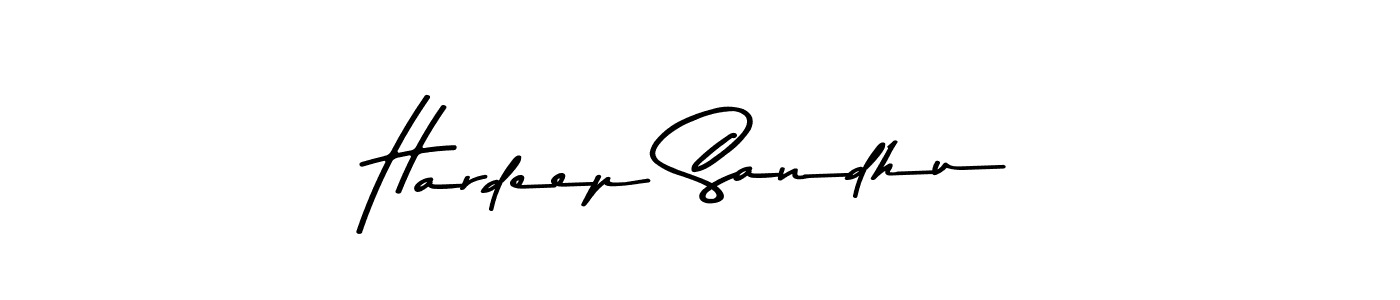 You should practise on your own different ways (Asem Kandis PERSONAL USE) to write your name (Hardeep Sandhu) in signature. don't let someone else do it for you. Hardeep Sandhu signature style 9 images and pictures png