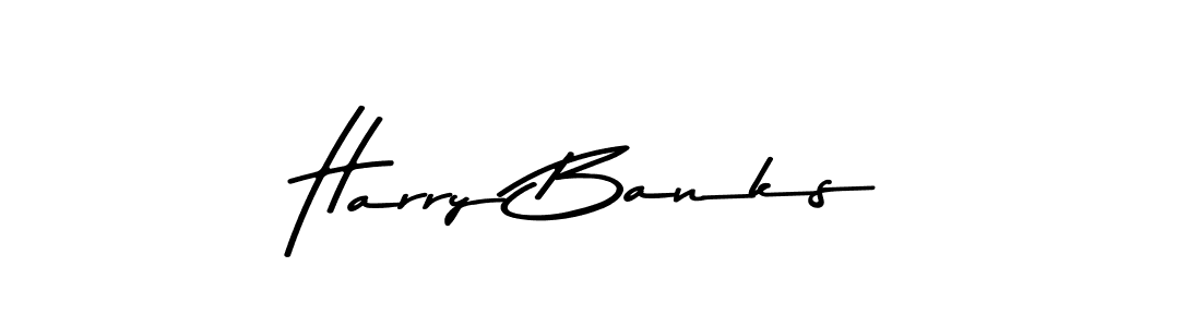 You should practise on your own different ways (Asem Kandis PERSONAL USE) to write your name (Harry Banks) in signature. don't let someone else do it for you. Harry Banks signature style 9 images and pictures png