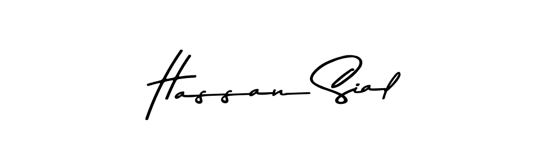 Make a beautiful signature design for name Hassan Sial. Use this online signature maker to create a handwritten signature for free. Hassan Sial signature style 9 images and pictures png