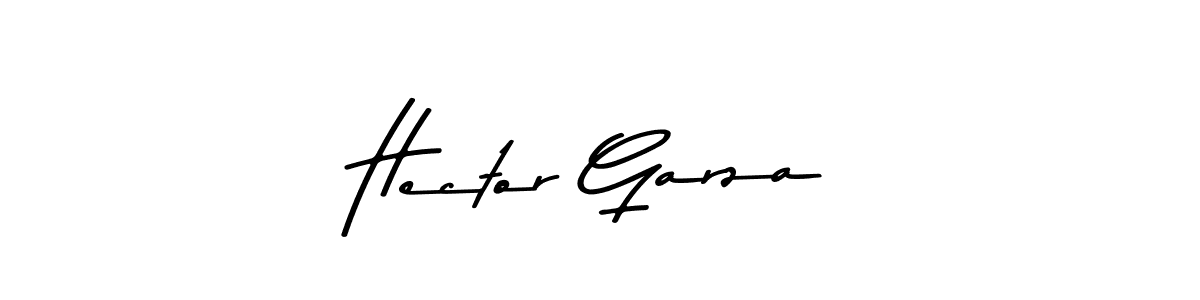Design your own signature with our free online signature maker. With this signature software, you can create a handwritten (Asem Kandis PERSONAL USE) signature for name Hector Garza. Hector Garza signature style 9 images and pictures png