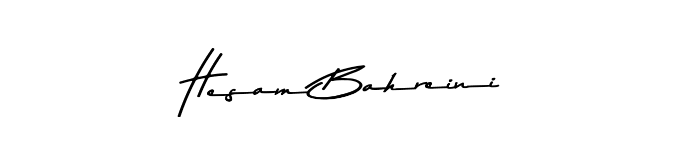 Make a beautiful signature design for name Hesam Bahreini. Use this online signature maker to create a handwritten signature for free. Hesam Bahreini signature style 9 images and pictures png