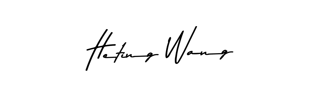 You should practise on your own different ways (Asem Kandis PERSONAL USE) to write your name (Heting Wang) in signature. don't let someone else do it for you. Heting Wang signature style 9 images and pictures png