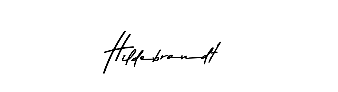 You should practise on your own different ways (Asem Kandis PERSONAL USE) to write your name (Hildebrandt) in signature. don't let someone else do it for you. Hildebrandt signature style 9 images and pictures png