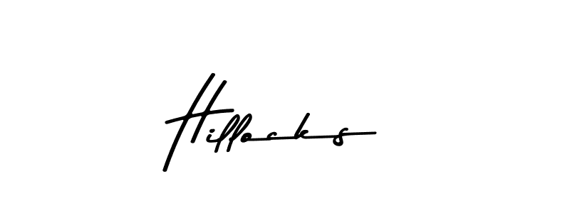 Hillocks stylish signature style. Best Handwritten Sign (Asem Kandis PERSONAL USE) for my name. Handwritten Signature Collection Ideas for my name Hillocks. Hillocks signature style 9 images and pictures png