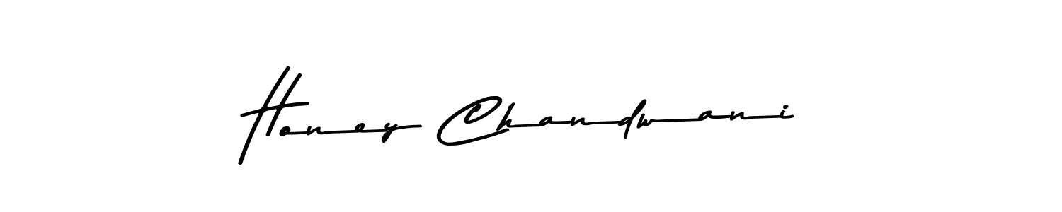 You should practise on your own different ways (Asem Kandis PERSONAL USE) to write your name (Honey Chandwani) in signature. don't let someone else do it for you. Honey Chandwani signature style 9 images and pictures png