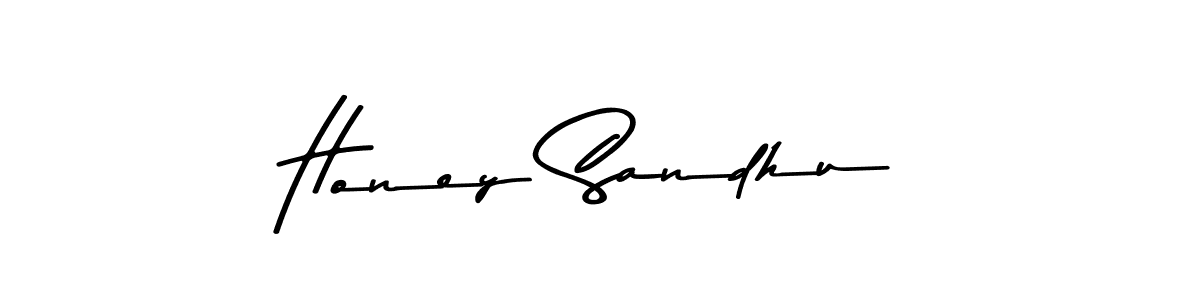 Use a signature maker to create a handwritten signature online. With this signature software, you can design (Asem Kandis PERSONAL USE) your own signature for name Honey Sandhu. Honey Sandhu signature style 9 images and pictures png