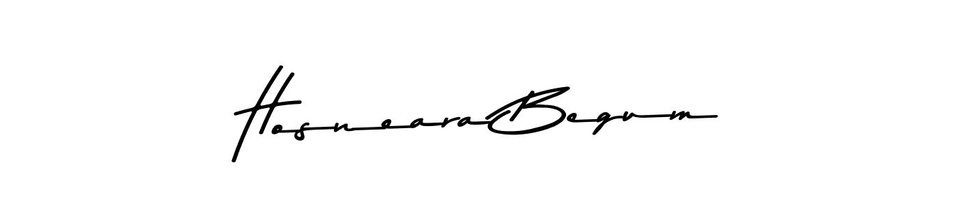 Make a beautiful signature design for name Hosneara Begum. Use this online signature maker to create a handwritten signature for free. Hosneara Begum signature style 9 images and pictures png