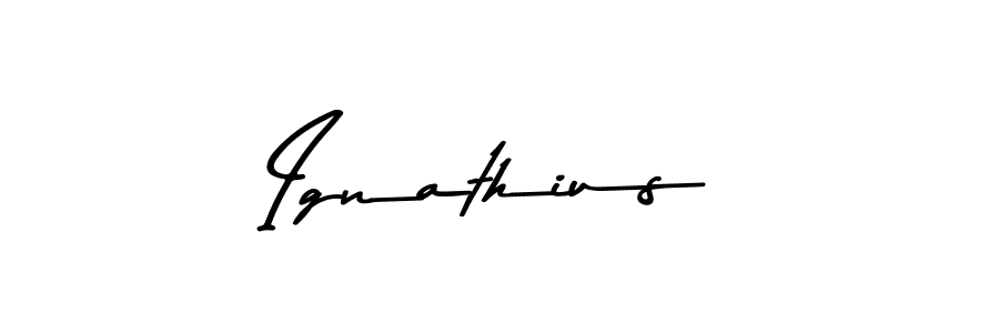 Similarly Asem Kandis PERSONAL USE is the best handwritten signature design. Signature creator online .You can use it as an online autograph creator for name Ignathius. Ignathius signature style 9 images and pictures png