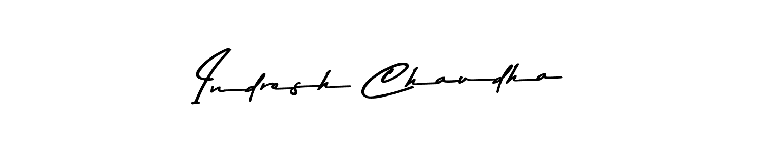 You should practise on your own different ways (Asem Kandis PERSONAL USE) to write your name (Indresh Chaudha) in signature. don't let someone else do it for you. Indresh Chaudha signature style 9 images and pictures png