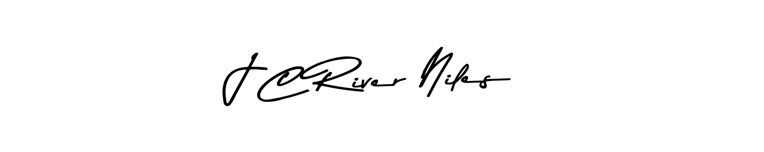 Design your own signature with our free online signature maker. With this signature software, you can create a handwritten (Asem Kandis PERSONAL USE) signature for name J C River Niles. J C River Niles signature style 9 images and pictures png