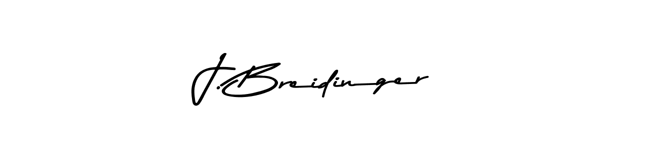 You should practise on your own different ways (Asem Kandis PERSONAL USE) to write your name (J. Breidinger) in signature. don't let someone else do it for you. J. Breidinger signature style 9 images and pictures png