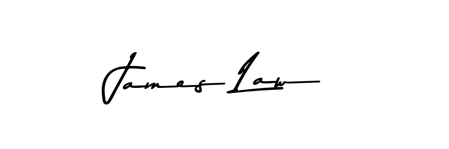 Make a beautiful signature design for name James Law. Use this online signature maker to create a handwritten signature for free. James Law signature style 9 images and pictures png