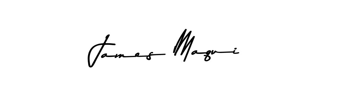 You should practise on your own different ways (Asem Kandis PERSONAL USE) to write your name (James Maqui) in signature. don't let someone else do it for you. James Maqui signature style 9 images and pictures png