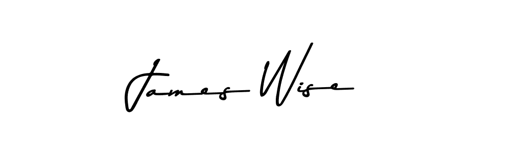 Design your own signature with our free online signature maker. With this signature software, you can create a handwritten (Asem Kandis PERSONAL USE) signature for name James Wise. James Wise signature style 9 images and pictures png