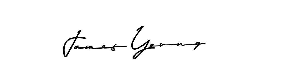 James Young stylish signature style. Best Handwritten Sign (Asem Kandis PERSONAL USE) for my name. Handwritten Signature Collection Ideas for my name James Young. James Young signature style 9 images and pictures png