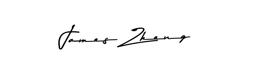 You should practise on your own different ways (Asem Kandis PERSONAL USE) to write your name (James Zheng) in signature. don't let someone else do it for you. James Zheng signature style 9 images and pictures png