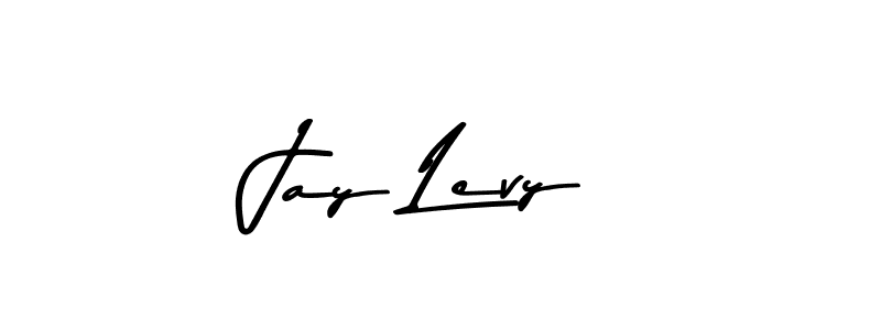 Jay Levy stylish signature style. Best Handwritten Sign (Asem Kandis PERSONAL USE) for my name. Handwritten Signature Collection Ideas for my name Jay Levy. Jay Levy signature style 9 images and pictures png
