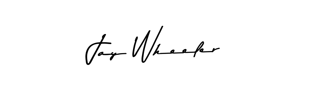 Jay Wheeler stylish signature style. Best Handwritten Sign (Asem Kandis PERSONAL USE) for my name. Handwritten Signature Collection Ideas for my name Jay Wheeler. Jay Wheeler signature style 9 images and pictures png
