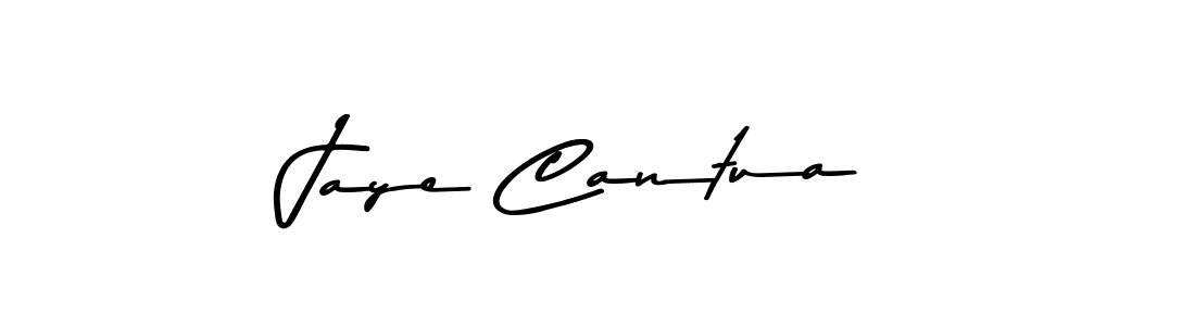 Jaye Cantua stylish signature style. Best Handwritten Sign (Asem Kandis PERSONAL USE) for my name. Handwritten Signature Collection Ideas for my name Jaye Cantua. Jaye Cantua signature style 9 images and pictures png