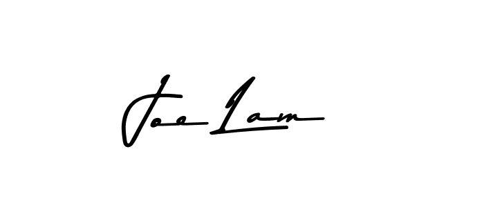 You should practise on your own different ways (Asem Kandis PERSONAL USE) to write your name (Joe Lam) in signature. don't let someone else do it for you. Joe Lam signature style 9 images and pictures png