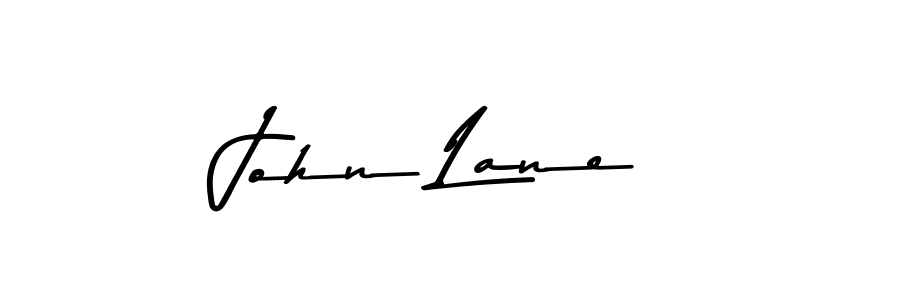 Design your own signature with our free online signature maker. With this signature software, you can create a handwritten (Asem Kandis PERSONAL USE) signature for name John Lane. John Lane signature style 9 images and pictures png