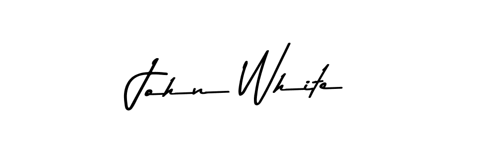 You should practise on your own different ways (Asem Kandis PERSONAL USE) to write your name (John White) in signature. don't let someone else do it for you. John White signature style 9 images and pictures png