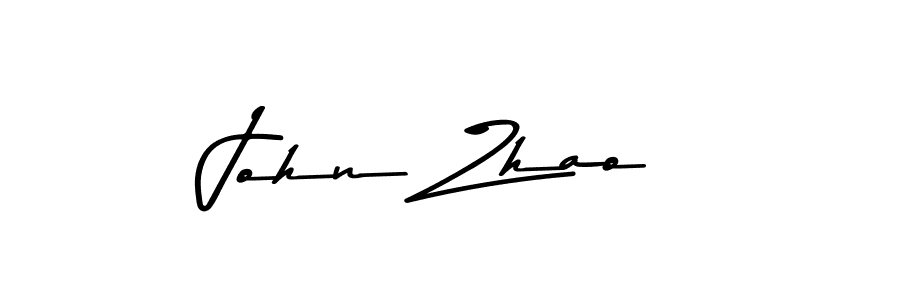 John Zhao stylish signature style. Best Handwritten Sign (Asem Kandis PERSONAL USE) for my name. Handwritten Signature Collection Ideas for my name John Zhao. John Zhao signature style 9 images and pictures png