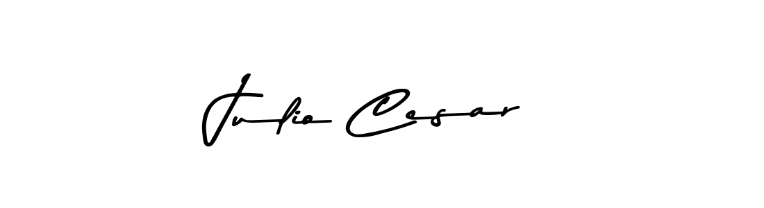 Create a beautiful signature design for name Julio Cesar. With this signature (Asem Kandis PERSONAL USE) fonts, you can make a handwritten signature for free. Julio Cesar signature style 9 images and pictures png