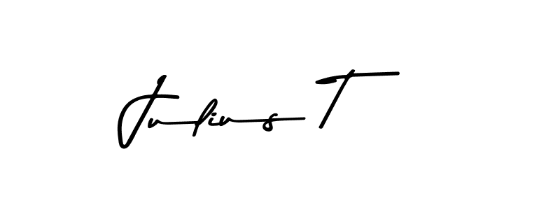 You should practise on your own different ways (Asem Kandis PERSONAL USE) to write your name (Julius T) in signature. don't let someone else do it for you. Julius T signature style 9 images and pictures png