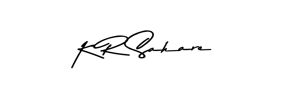 You should practise on your own different ways (Asem Kandis PERSONAL USE) to write your name (K R Sahare) in signature. don't let someone else do it for you. K R Sahare signature style 9 images and pictures png