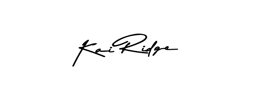 Similarly Asem Kandis PERSONAL USE is the best handwritten signature design. Signature creator online .You can use it as an online autograph creator for name Kai Ridge. Kai Ridge signature style 9 images and pictures png