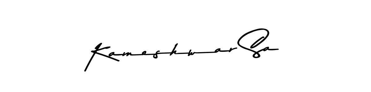 You should practise on your own different ways (Asem Kandis PERSONAL USE) to write your name (Kameshwar Sa) in signature. don't let someone else do it for you. Kameshwar Sa signature style 9 images and pictures png