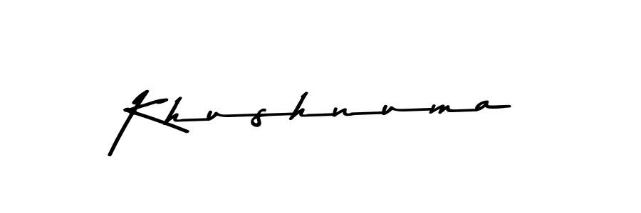 You should practise on your own different ways (Asem Kandis PERSONAL USE) to write your name (Khushnuma) in signature. don't let someone else do it for you. Khushnuma signature style 9 images and pictures png