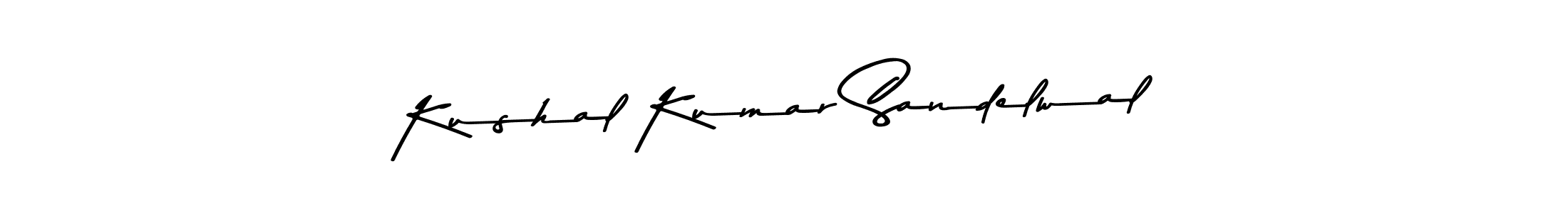 You should practise on your own different ways (Asem Kandis PERSONAL USE) to write your name (Kushal Kumar Sandelwal) in signature. don't let someone else do it for you. Kushal Kumar Sandelwal signature style 9 images and pictures png