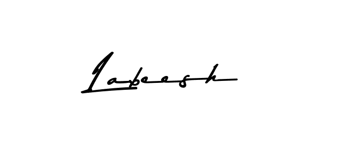 This is the best signature style for the Labeesh name. Also you like these signature font (Asem Kandis PERSONAL USE). Mix name signature. Labeesh signature style 9 images and pictures png