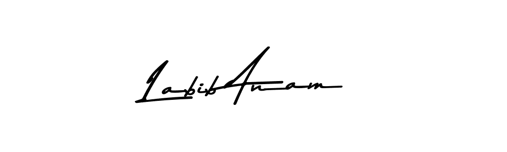 Make a beautiful signature design for name Labib Anam. Use this online signature maker to create a handwritten signature for free. Labib Anam signature style 9 images and pictures png