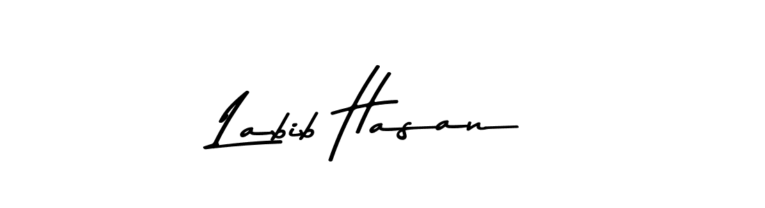 Design your own signature with our free online signature maker. With this signature software, you can create a handwritten (Asem Kandis PERSONAL USE) signature for name Labib Hasan. Labib Hasan signature style 9 images and pictures png