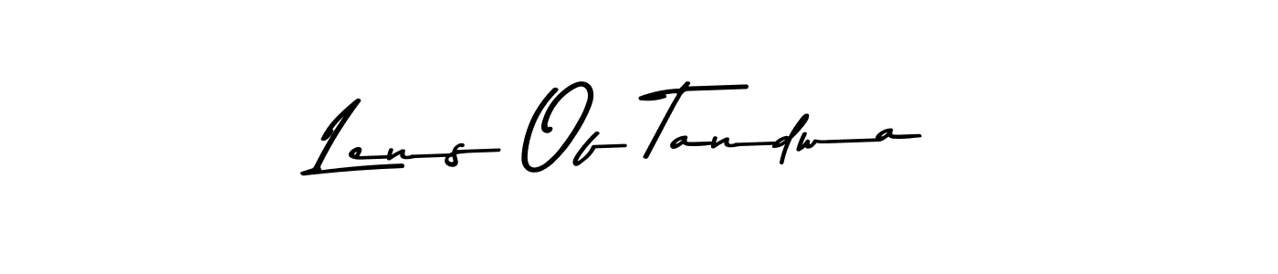 You should practise on your own different ways (Asem Kandis PERSONAL USE) to write your name (Lens Of Tandwa) in signature. don't let someone else do it for you. Lens Of Tandwa signature style 9 images and pictures png