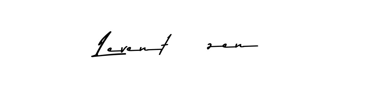 You should practise on your own different ways (Asem Kandis PERSONAL USE) to write your name (Levent Özen) in signature. don't let someone else do it for you. Levent Özen signature style 9 images and pictures png