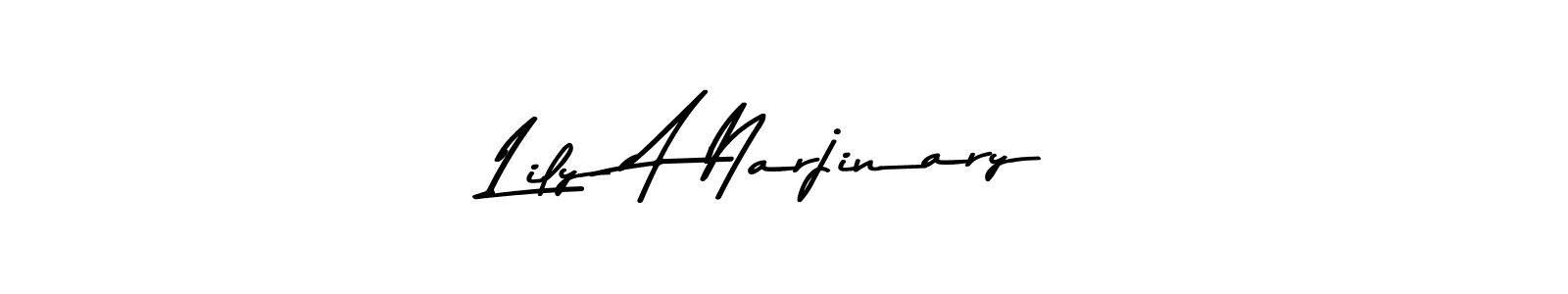 You should practise on your own different ways (Asem Kandis PERSONAL USE) to write your name (Lily A Narjinary) in signature. don't let someone else do it for you. Lily A Narjinary signature style 9 images and pictures png
