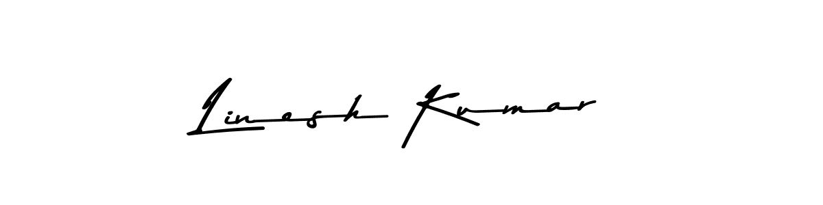 Asem Kandis PERSONAL USE is a professional signature style that is perfect for those who want to add a touch of class to their signature. It is also a great choice for those who want to make their signature more unique. Get Linesh Kumar name to fancy signature for free. Linesh Kumar signature style 9 images and pictures png