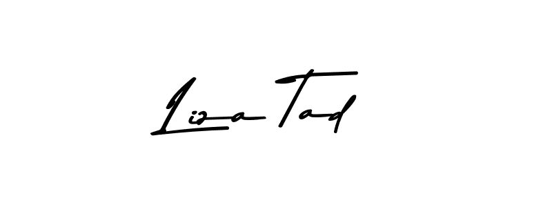 You should practise on your own different ways (Asem Kandis PERSONAL USE) to write your name (Liza Tad) in signature. don't let someone else do it for you. Liza Tad signature style 9 images and pictures png