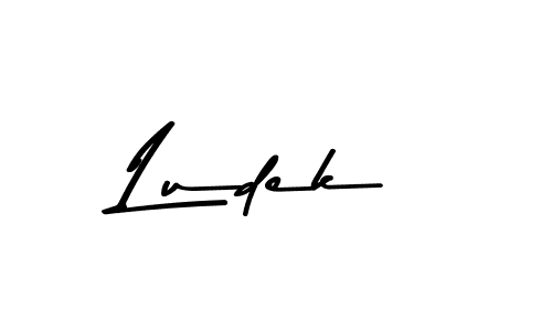 if you are searching for the best signature style for your name Ludek. so please give up your signature search. here we have designed multiple signature styles  using Asem Kandis PERSONAL USE. Ludek signature style 9 images and pictures png