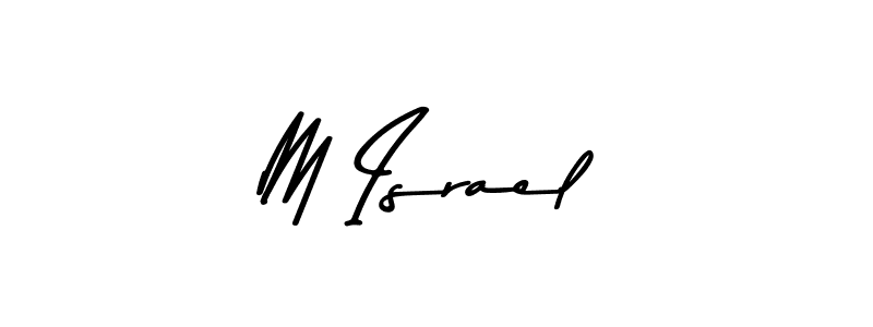 Make a beautiful signature design for name M Israel. Use this online signature maker to create a handwritten signature for free. M Israel signature style 9 images and pictures png
